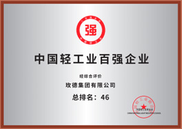 Top 100 Enterprise in China’s Light Industry